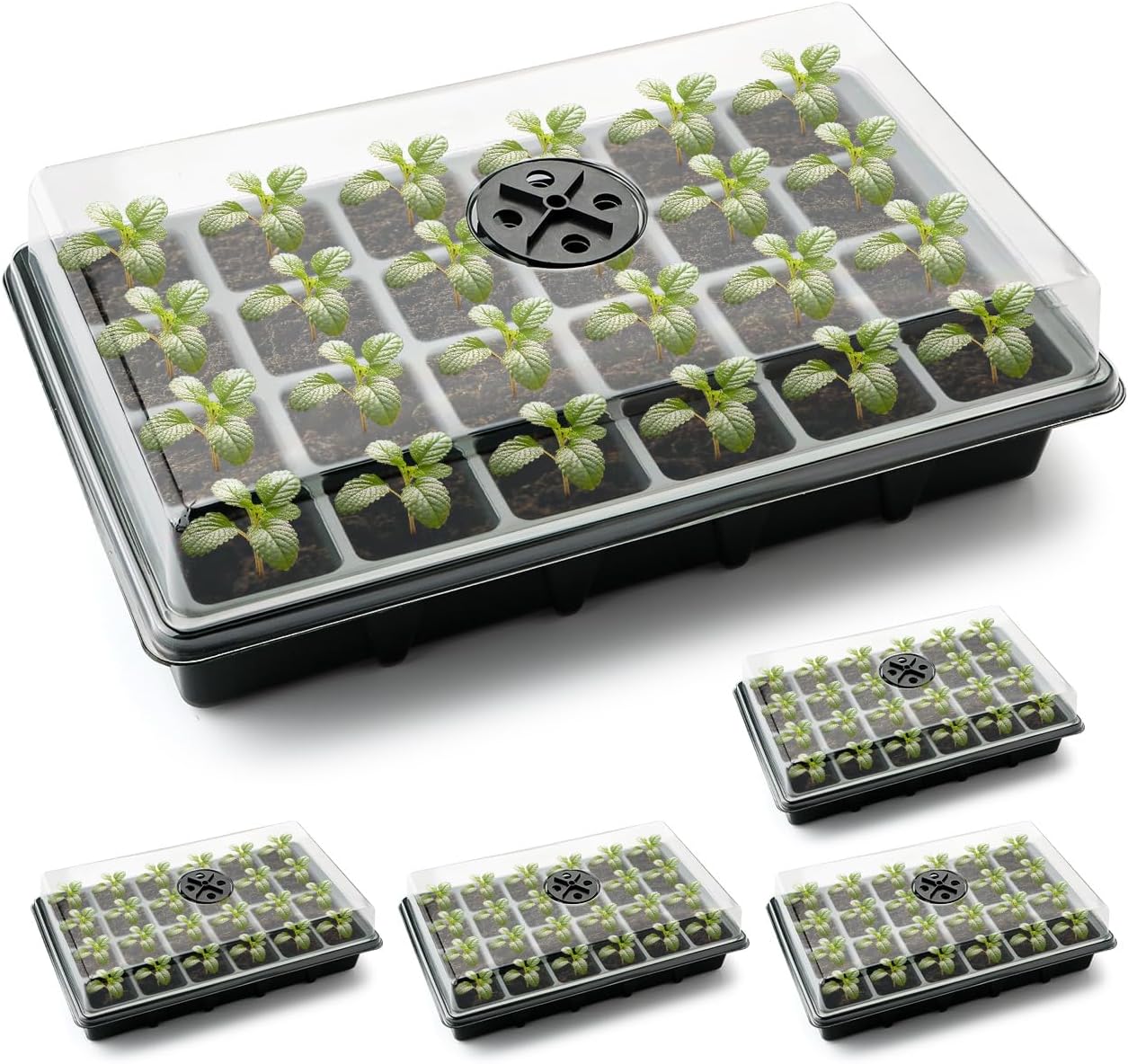 Seed Starter Tray with Dome, 5 Pack, 24 Cells Each – 2" Plugs, Vented Lid