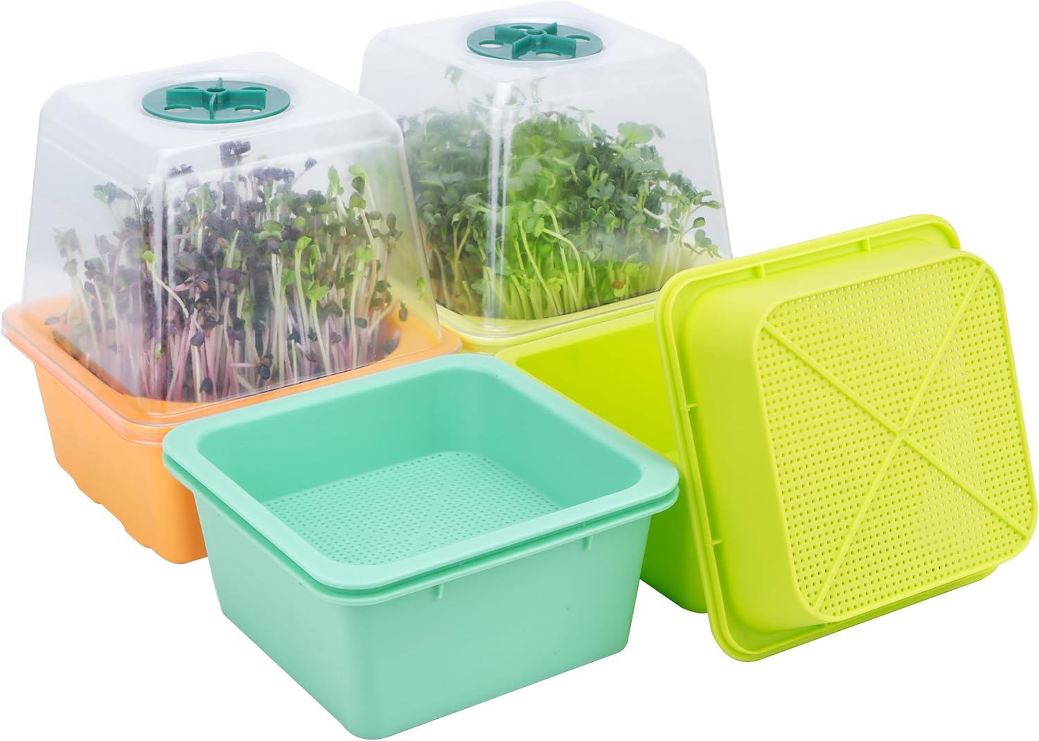 Sprouting Tray, 4 Pack – Mesh Bottom for Small Seeds