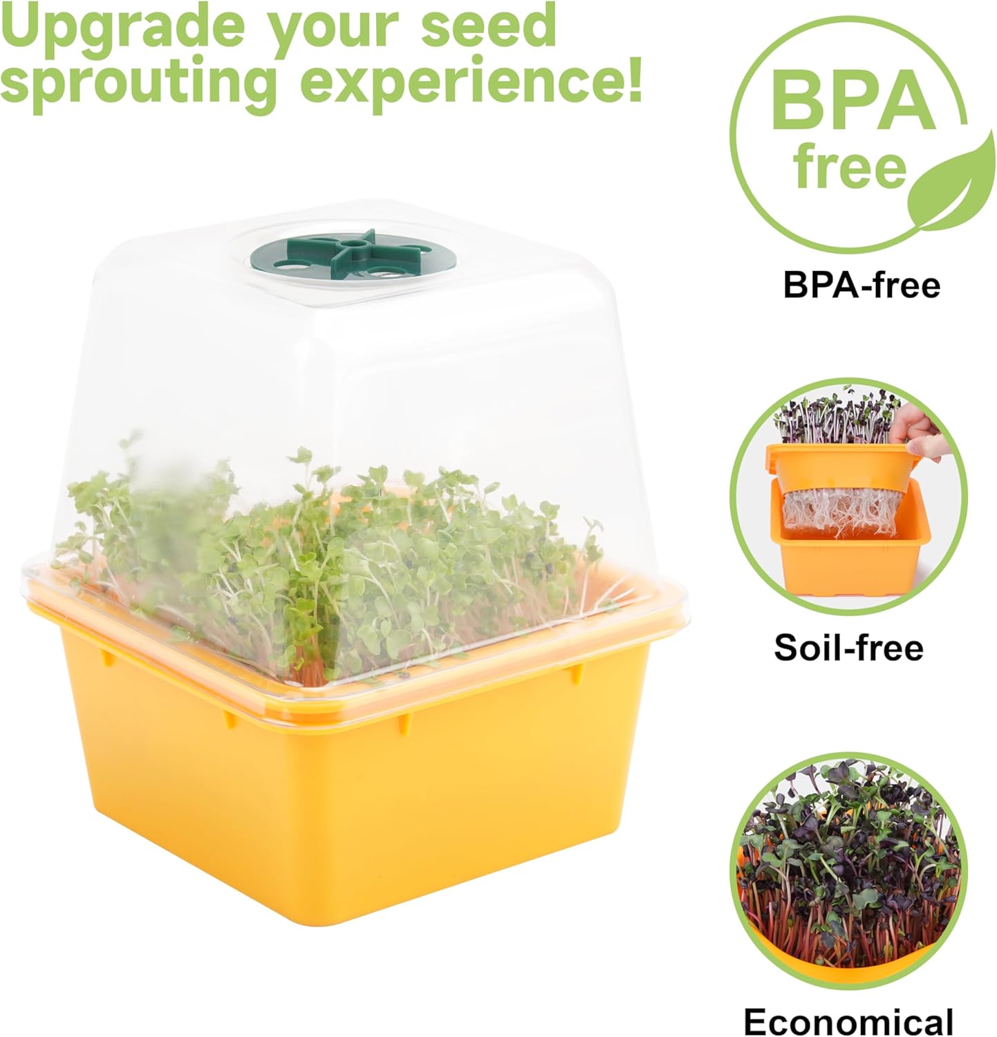 Sprouting Tray, 4 Pack – Mesh Bottom for Small Seeds - Image 2