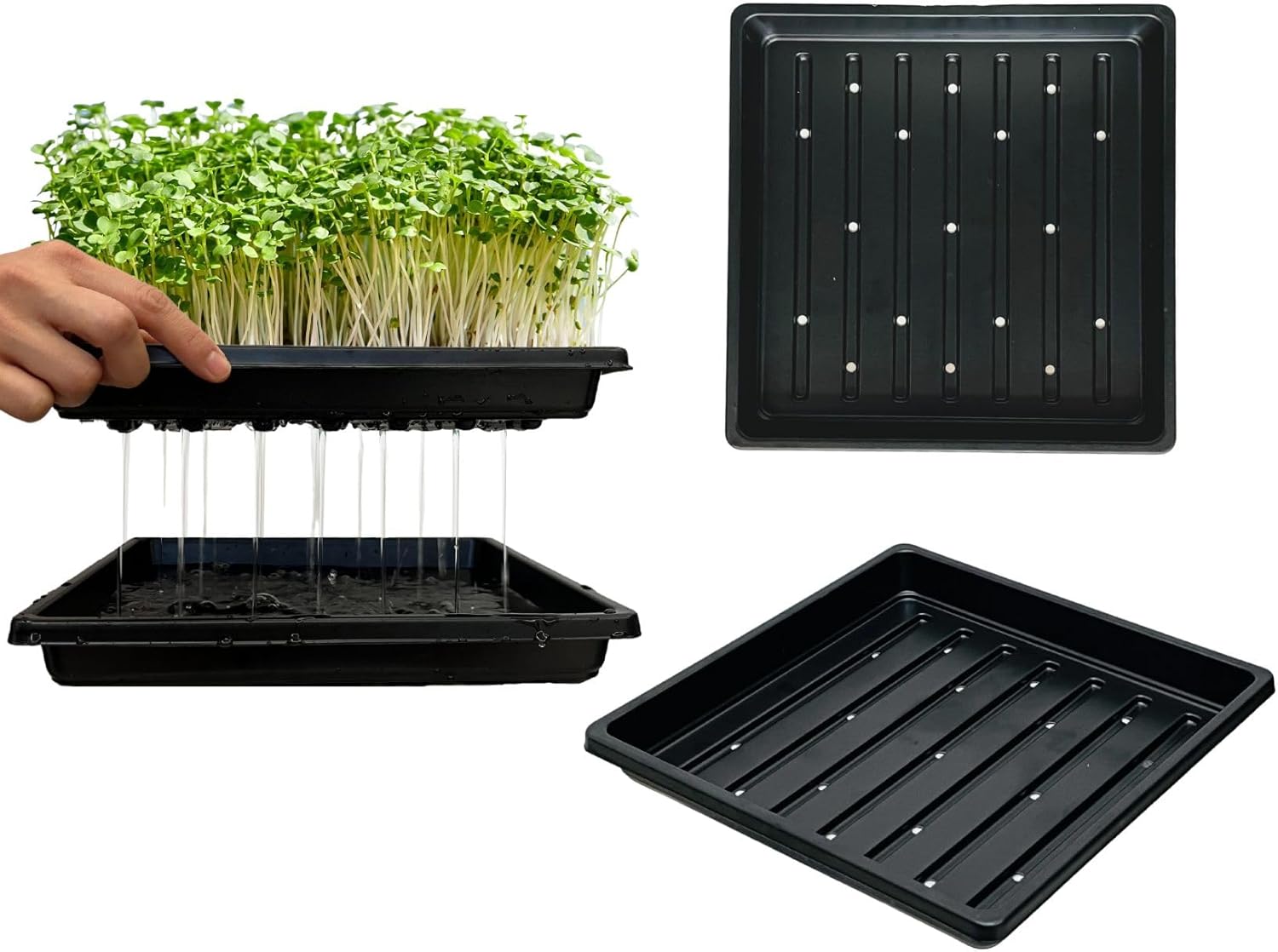 Nursery Tray, 1010 Size – With Drain Holes, 10.7"x10.7"x1.3"