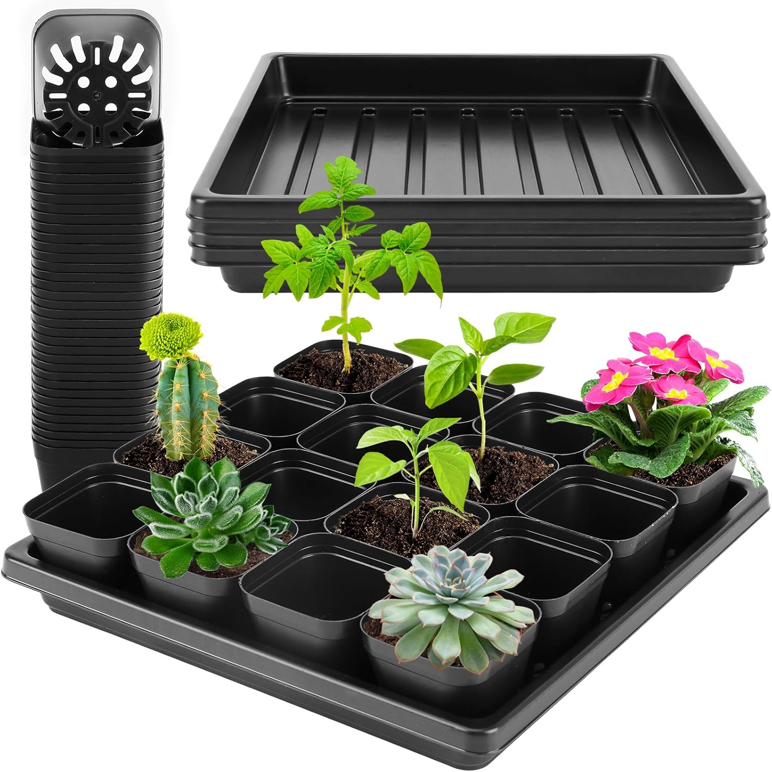 Seedling Trays, 3 Pack – With 50 Nursery Pots, Durable