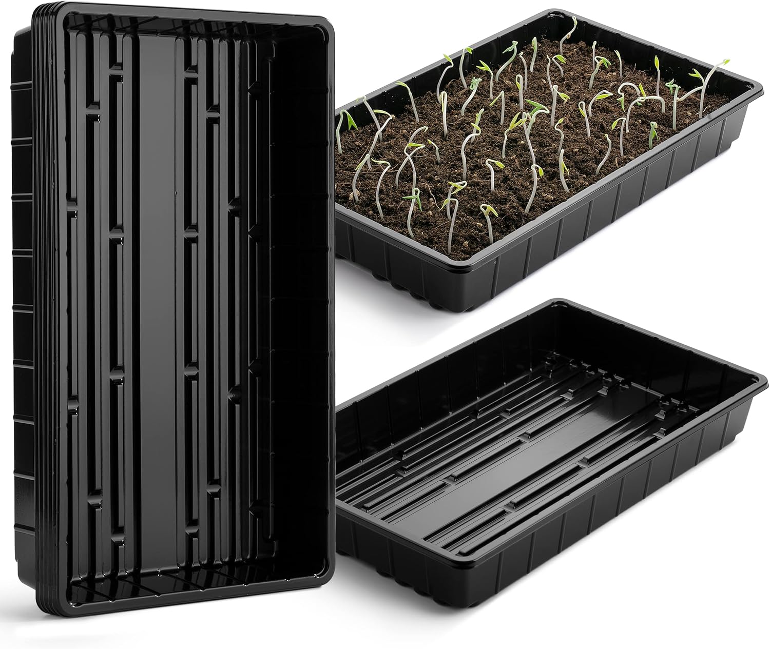 Plastic Growing Trays, 5 Pack, Black, 17"x10" – Seed & Plant Tray