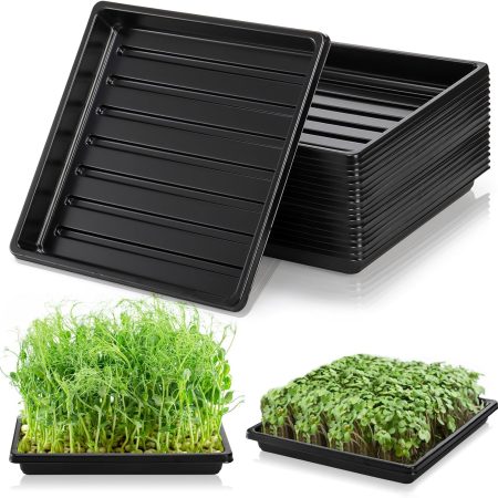 Growing Trays, 10 Pack, 10.6"x10.6" – No Drain Holes, for Microgreens