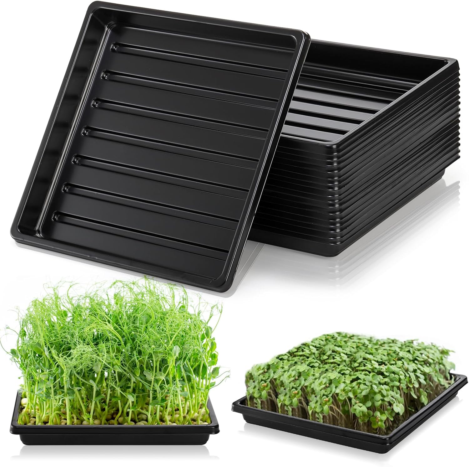 Growing Trays, 10 Pack, 10.6"x10.6" – No Drain Holes, for Microgreens